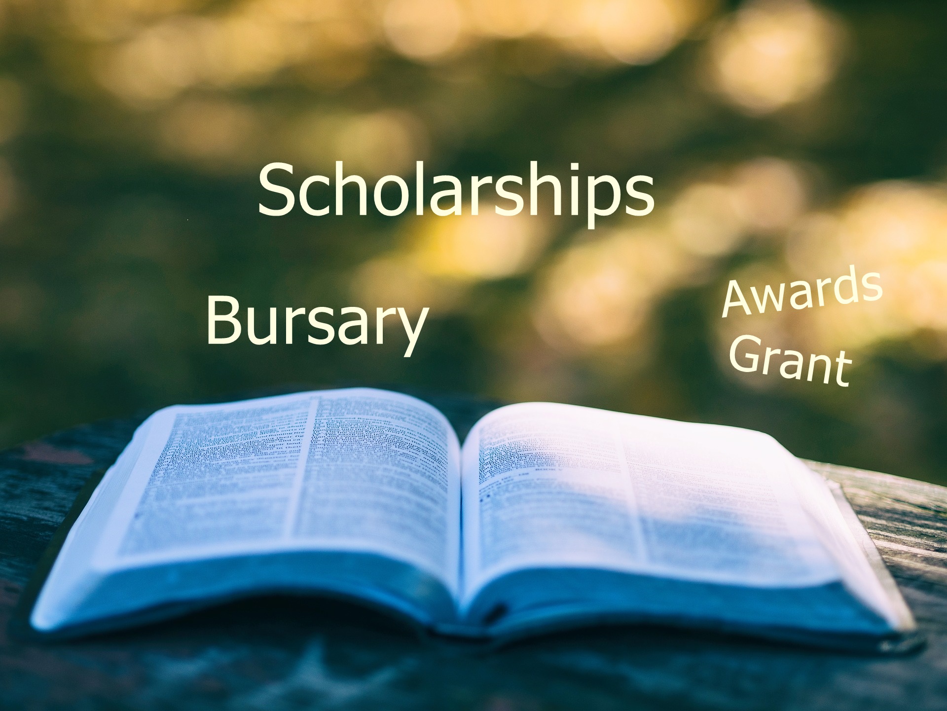 scholarships, bursaries, grants awards