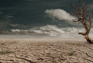 desert, drought, dehydrated-279862.jpg
