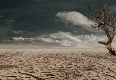 desert, drought, dehydrated-279862.jpg